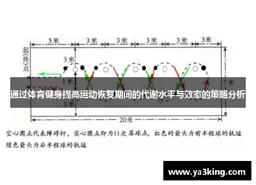 通过体育健身提高运动恢复期间的代谢水平与效率的策略分析